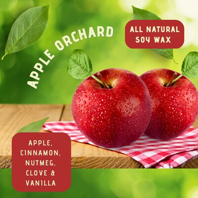 Apple Orchard Soy Candle | All natural soy candle | 2 sizes available - image4